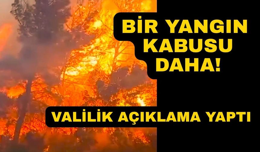 Ormanlık alanda çıkan yangın ekipleri seferber etti