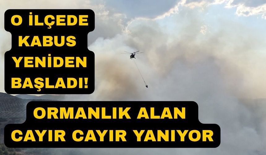 Orman yangınına ekipler havadan ve karadan müdahale ediyor