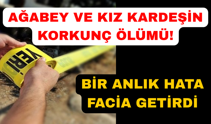 Ağabey ve kız kardeşi yan yana can verdi