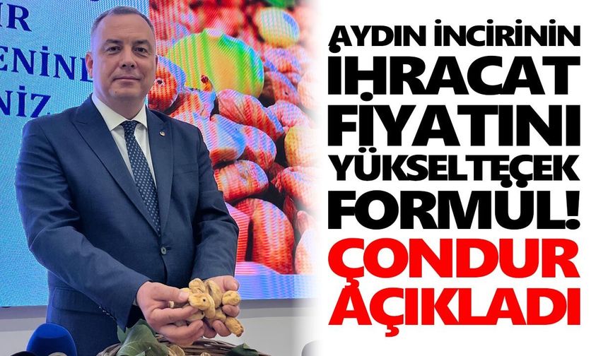Aydın incirinin ihracat fiyatını yükseltecek formül! Çondur açıkladı