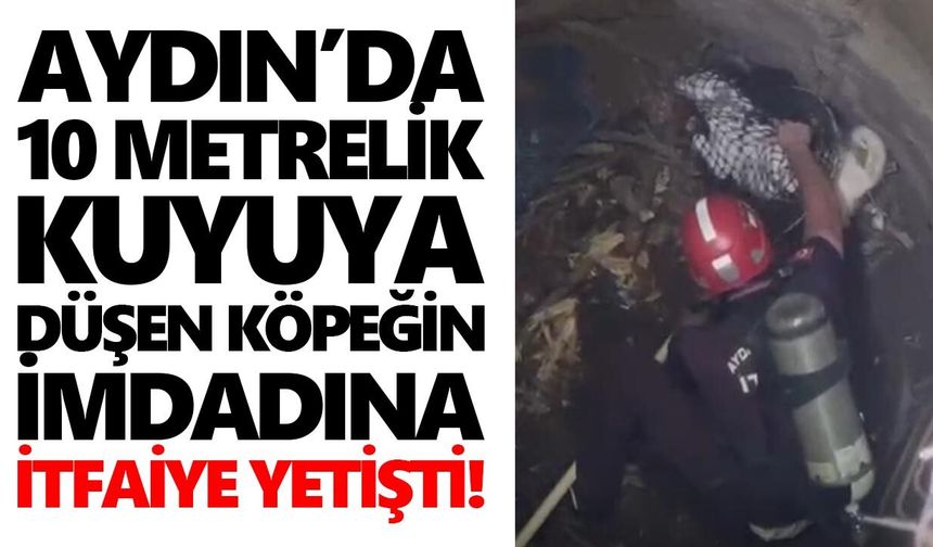 Aydın’da 10 metrelik kuyuya düşen köpeğin imdadına itfaiye yetişti!