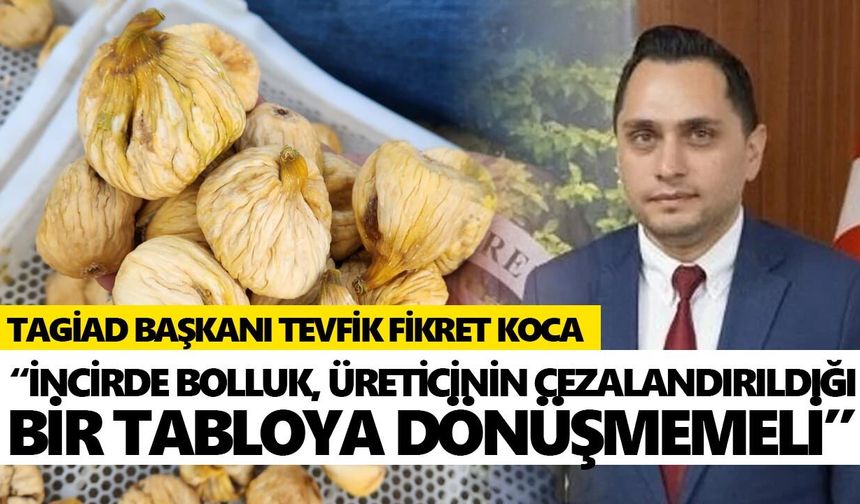 Aydın’da incir sezonu öncesi üreticinin gözü fiyatta!