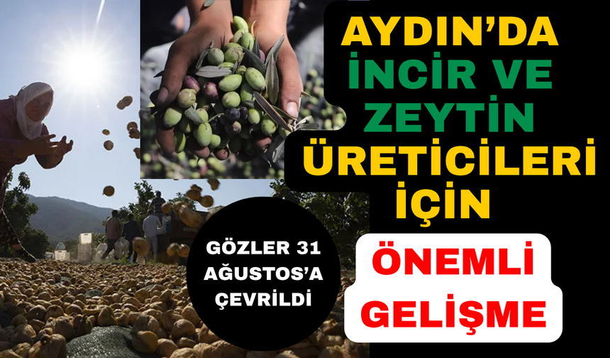 Bakan Yumaklı 31 Ağustos'ta Aydın'a geliyor