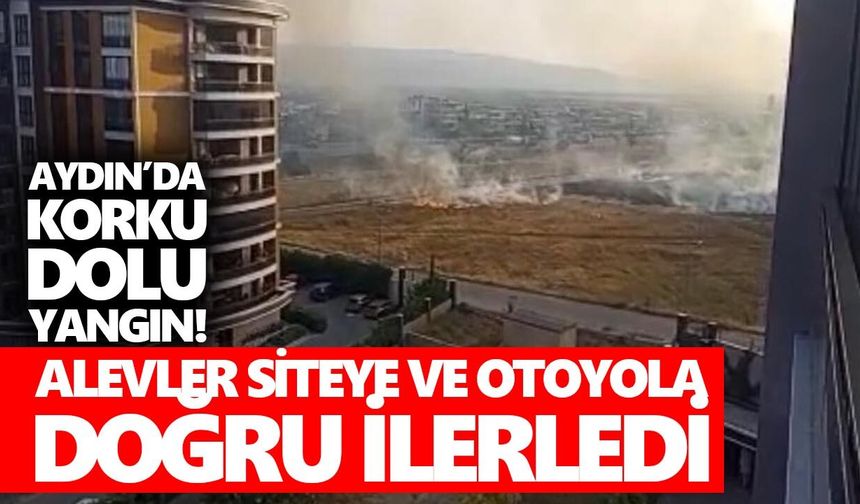 Aydın’da korku dolu yangın! Alevler siteye ve otoyola doğru ilerledi