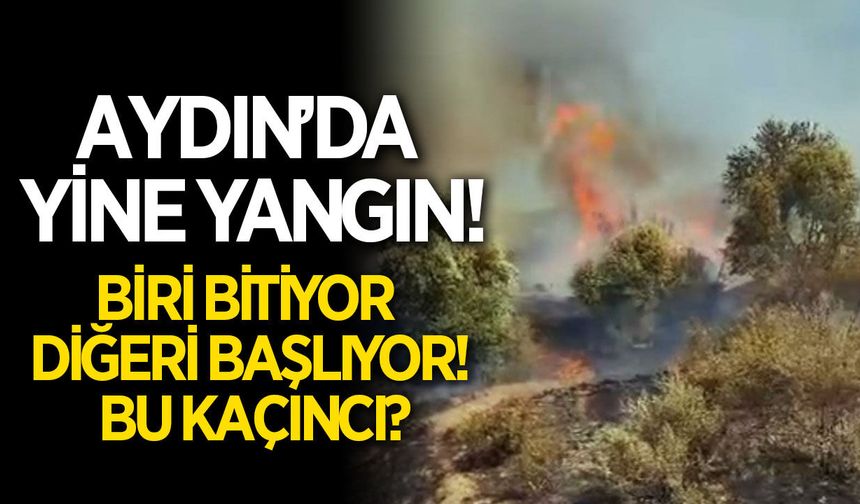 Aydın'da yine yangın çıktı!