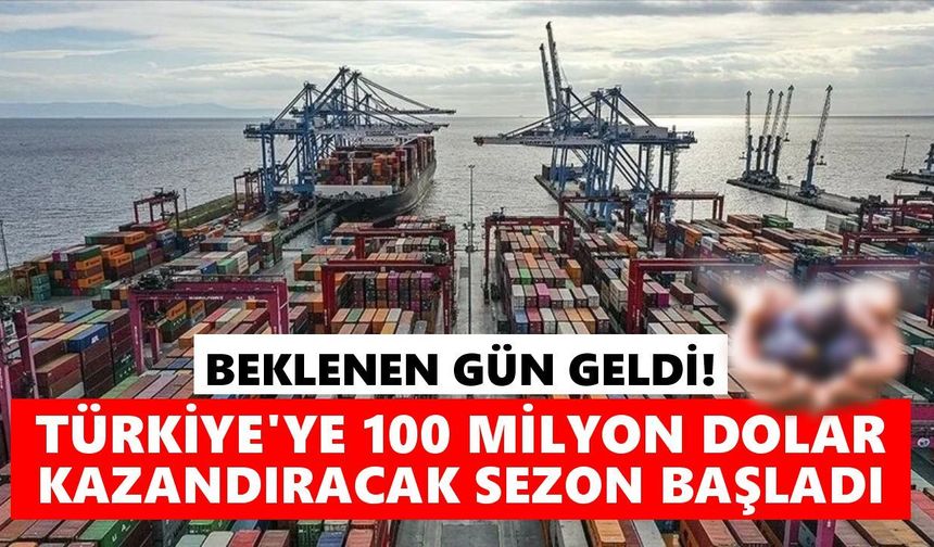 Aydın'dan dünyaya gidecek! İhracatta büyük hedef açıklandı