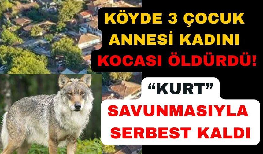 Eşini tüfekle vuran koca hakkında karar verildi