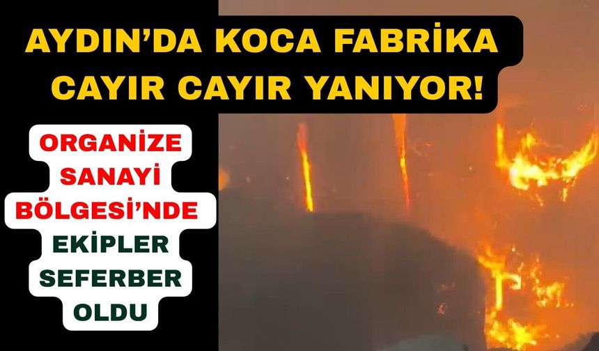 Aydın'da korkutan fabrika yangını