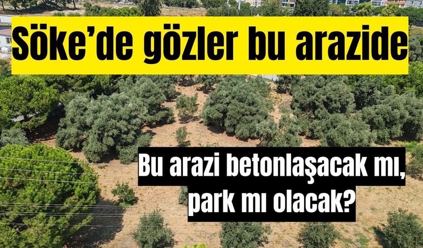 Beton mu, yeşil alan mı? Söke’de gözler bu arazide