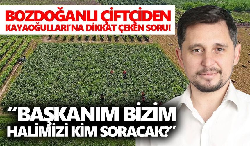 Bozdoğanlı çiftçiden Kayaoğulları’na dikkat çeken soru!