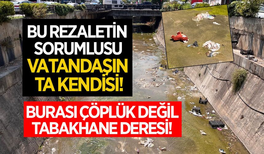Aydın'da Tabakhane Deresi yine çöplüğe döndü!