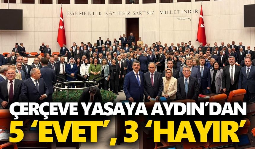 Çerçeve yasaya Aydın’dan 5 ‘evet’, 3 ‘hayır’
