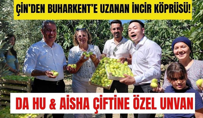 Çin’den Buharkent’e uzanan incir köprüsü!