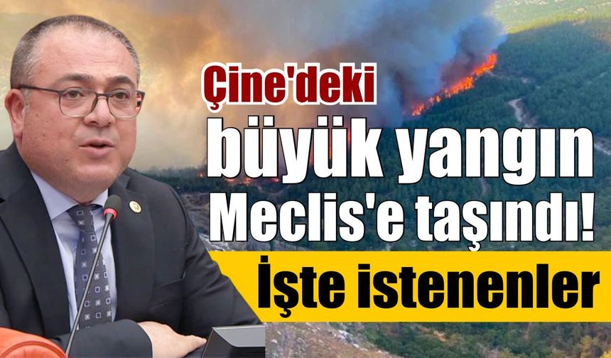 Çine yangını için flaş hamle! Karakoz Meclis'i harekete geçirdi