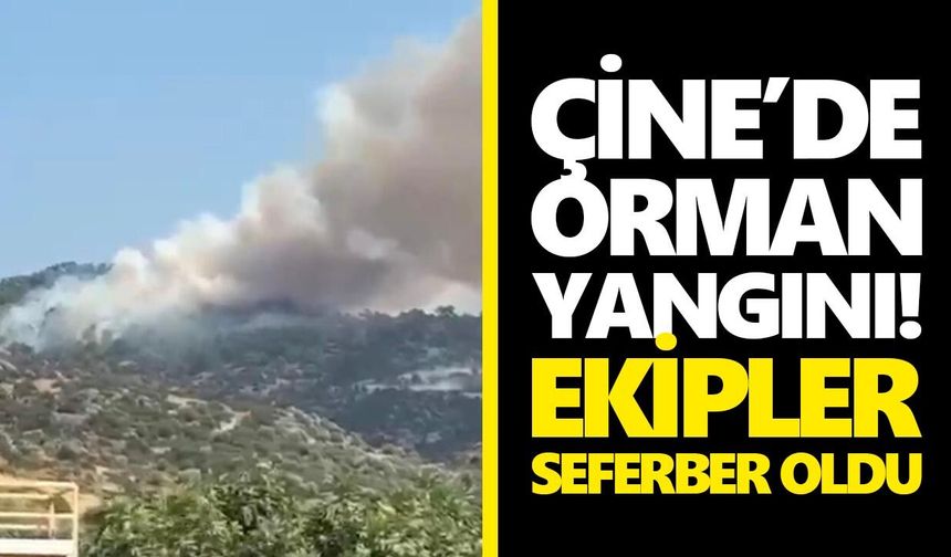 Çine’de orman yangını! Ekipler seferber oldu