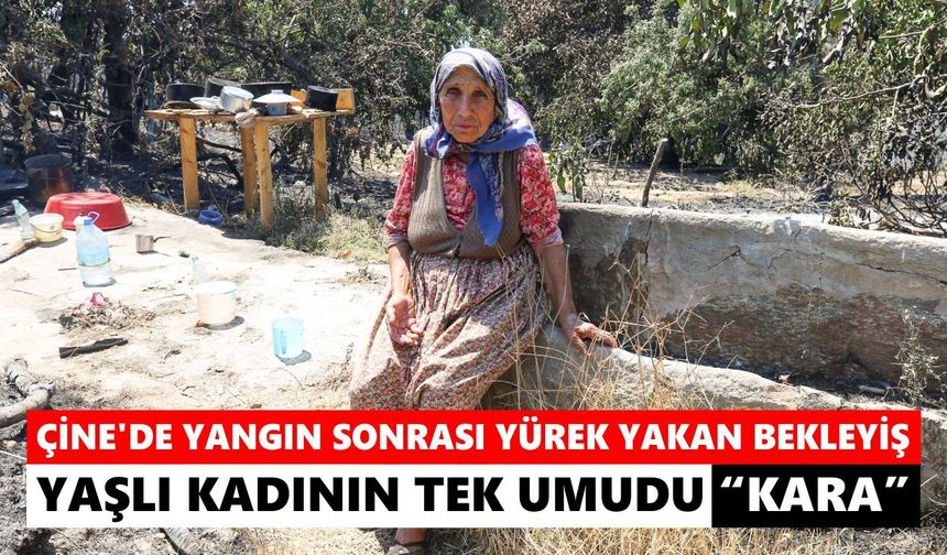 Çine’de yangın sonrası yürek yakan bekleyiş! Yaşlı kadının tek umudu “Kara”