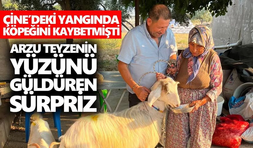 Çine’deki yangında köpeğini kaybetmişti: Arzu teyzenin yüzünü güldüren sürpriz