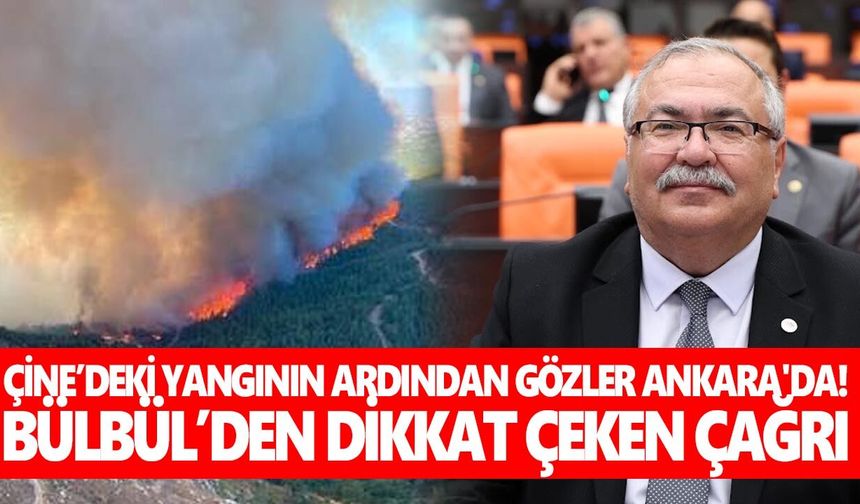Çine’deki yangının ardından gözler Ankara'da! Yeni Partili Bülbül’den dikkat çeken çağrı