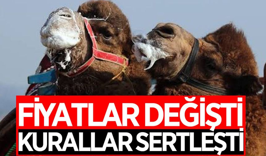 DEGÜF yeni sezon kararlarını açıkladı! Görevli ücretleri ve disiplin kuralları değişti