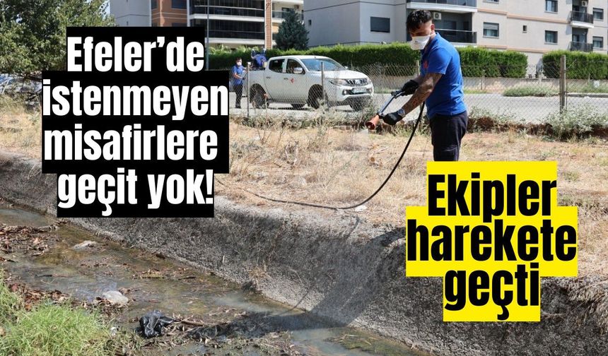 Efeler’de istenmeyen misafirlere geçit yok! Ekipler harekete geçti