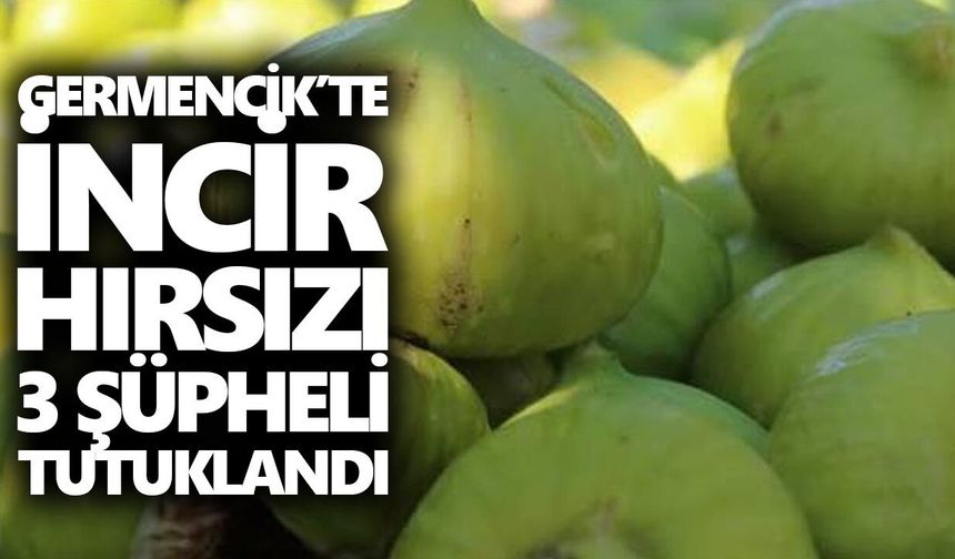 Germencik’te incir hırsızı 3 şüpheli tutuklandı