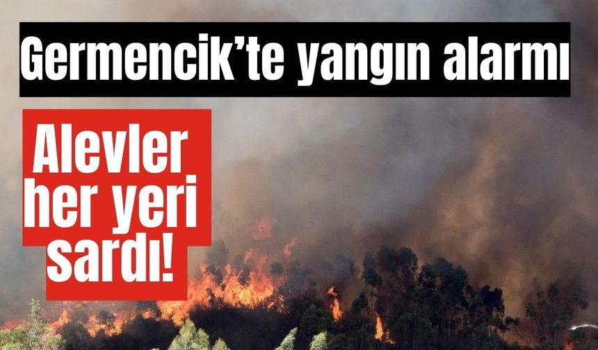 Germencik’te korkutan yangın!