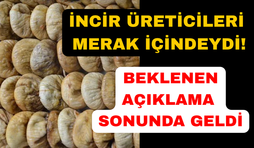 Kuru incirde rekolte beklentisi açıklandı