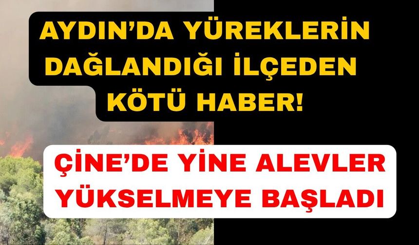Aydın'ın Çine ilçesinde korkutan yangın: Ekipler seferber oldu