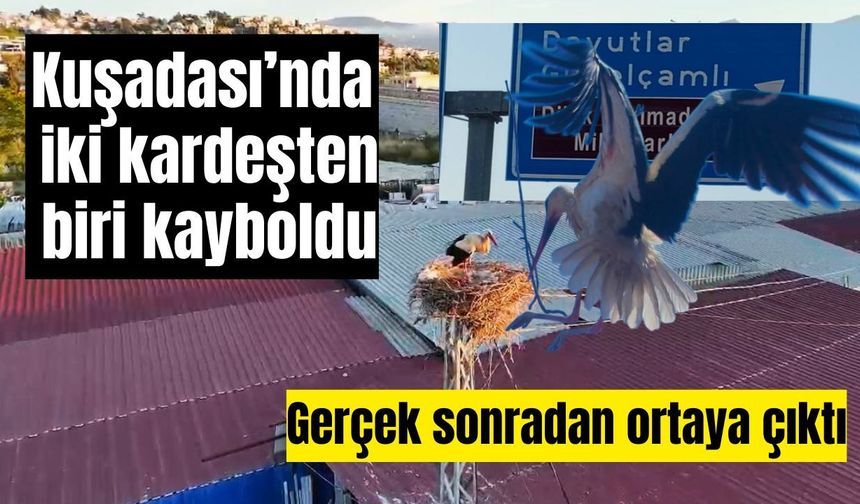 Kuşadası’nda iki kardeşten biri kayboldu: Gerçek sonradan ortaya çıktı