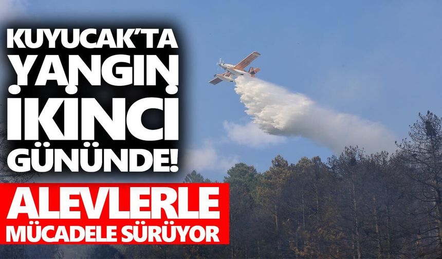 Kuyucak’ta yangın ikinci gününde! Alevlerle mücadele sürüyor