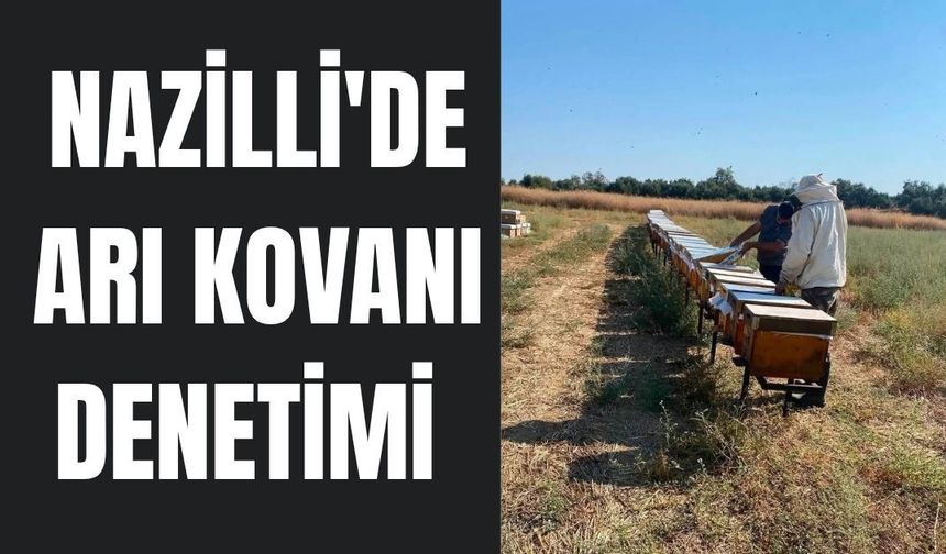 Nazilli'de arı kovanı denetimi