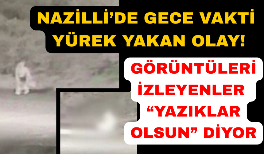 Aydın'da otomobilin çarpıp kaçtığı kadın yaşam mücadelesi veriyor