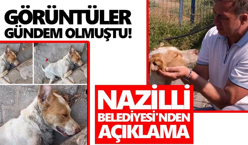 O görüntüler gündem olmuştu! Nazilli Belediyesi'nden açıklama