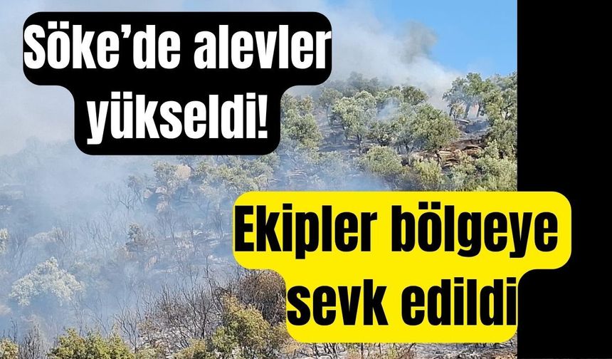 Söke’de alevler yükseldi! Ekipler bölgeye sevk edildi