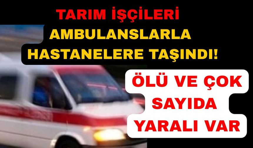 Tarım işçilerini taşıyan minibüs kaza yaptı: 1 ölü, 8 yaralı