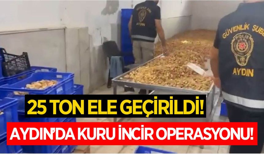 Aydın'da kuru incir operasyonu! Etiketsiz tonlarca incir ele geçirildi