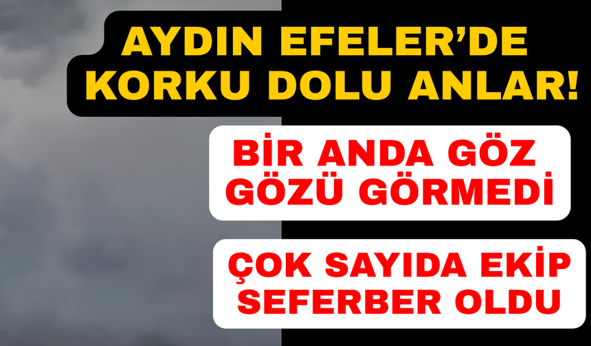 Aydın'da korkutan yangın: Ekipler seferber oldu