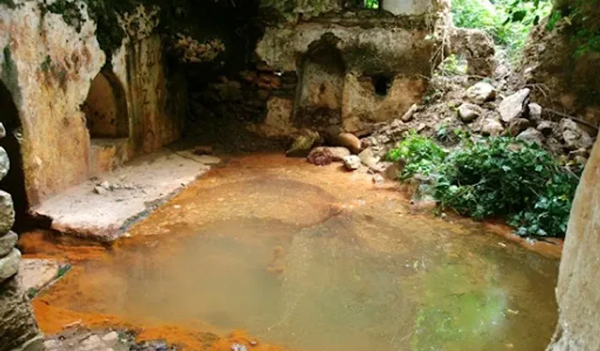 Aydın'ın gizli şifa merkezleri: Hastalıklara derman oluyor