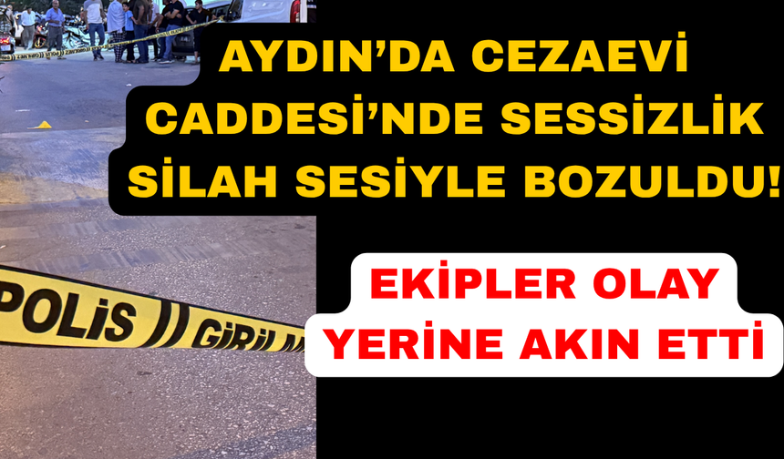 Aydın'da bir kişi silahla vuruldu