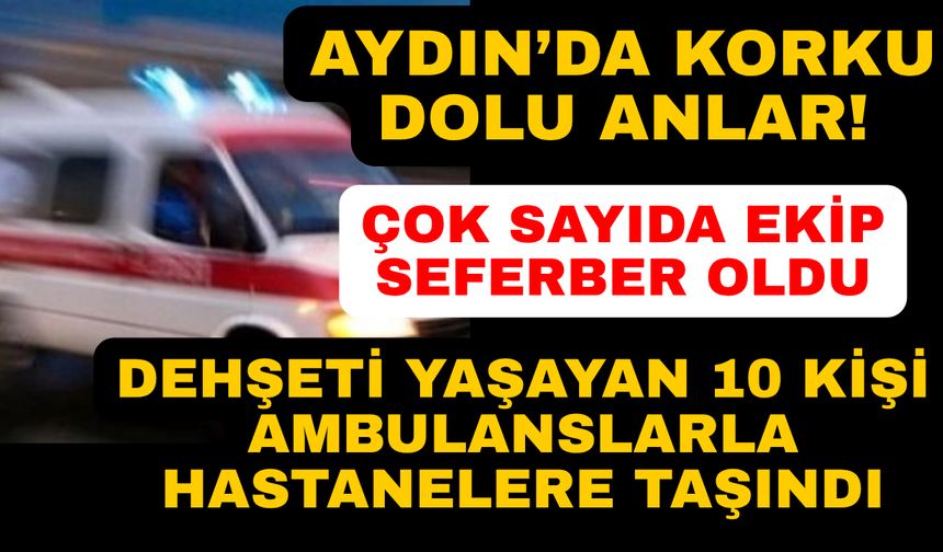 Aydın'da korkutan kaza: 10 yaralı