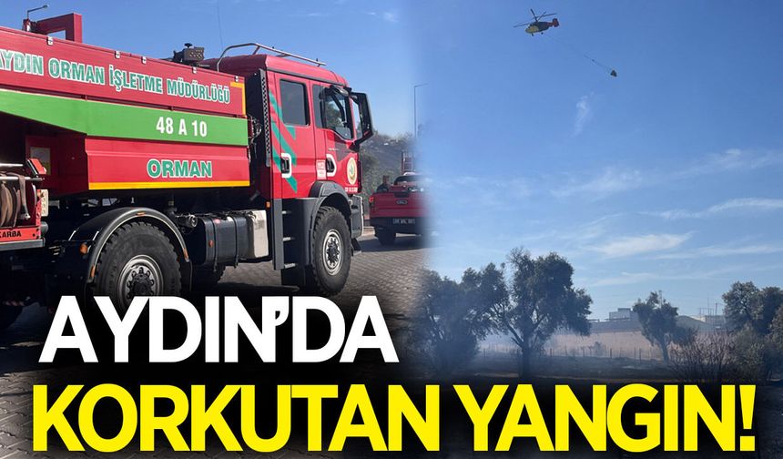 Aydın’da korkutan yangın! Otobana sıçradı, havadan müdahale edildi