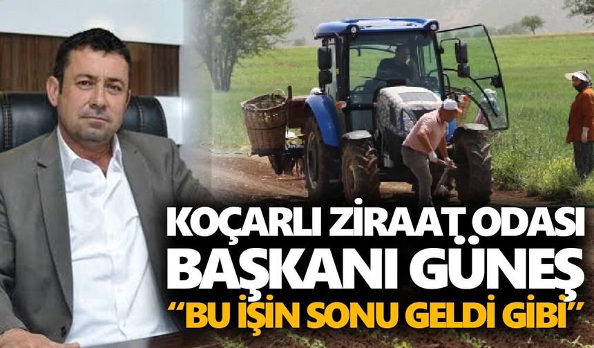 Aydın’da tarlada alarm! Çiftçi “Bu işin sonu geldi” dedi