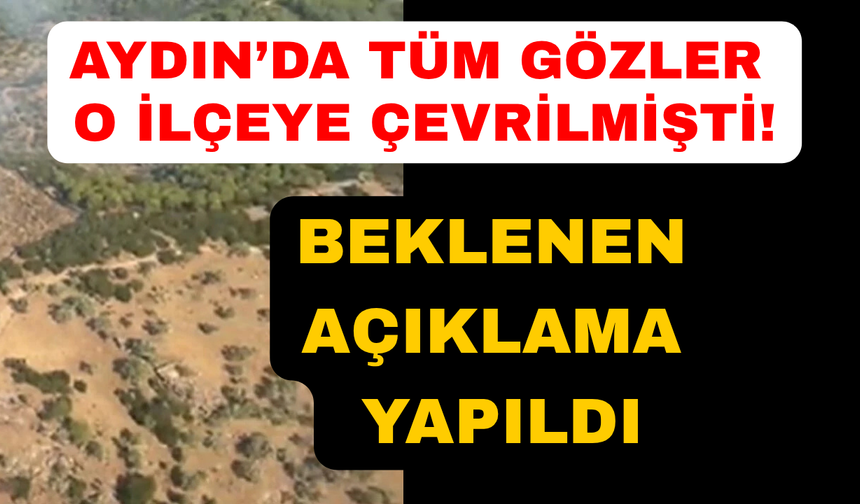 Aydın'da yürekleri dağlayan yangın kontrol altına alındı