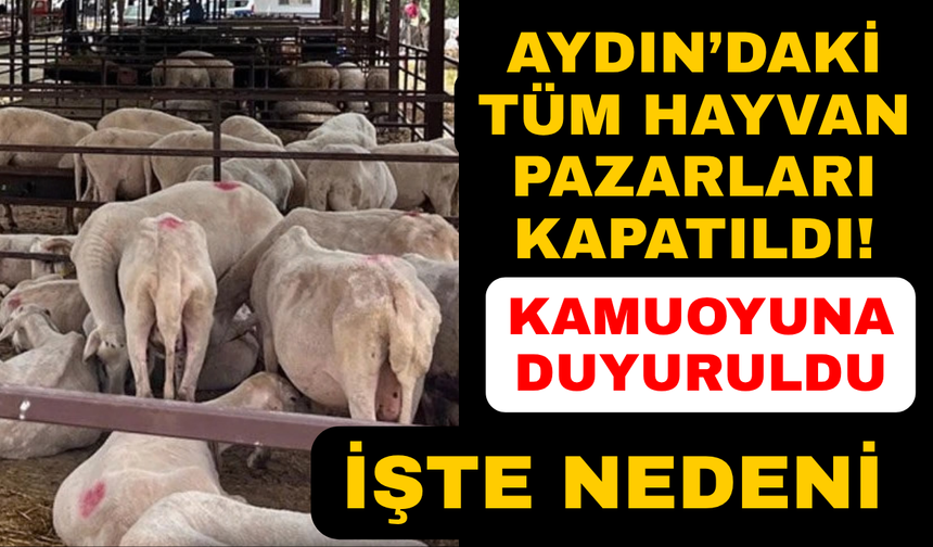 Aydın'da hayvan pazarlarının kapatıldığı açıklandı