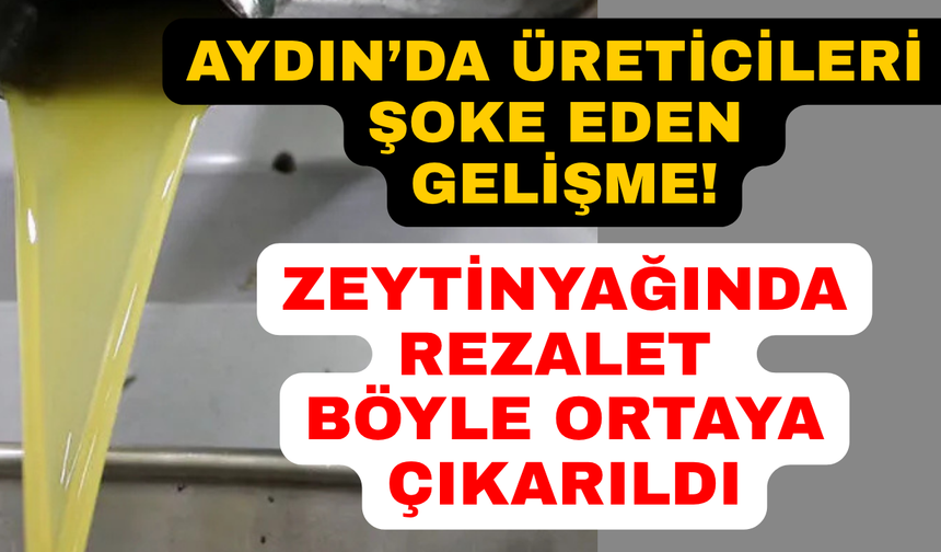 Aydın'da 5 operasyon: Zeytinyağında sahtecilik ortaya çıkarıldı