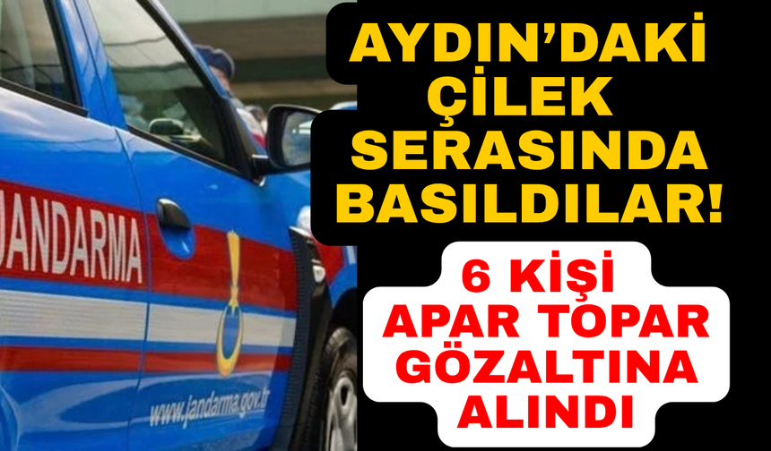 Aydın'da jandarmadan suçüstü: 6 kişi gözaltına alındı