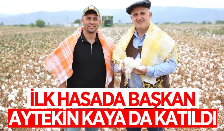 İncirliova'da pamuk hasadı başladı
