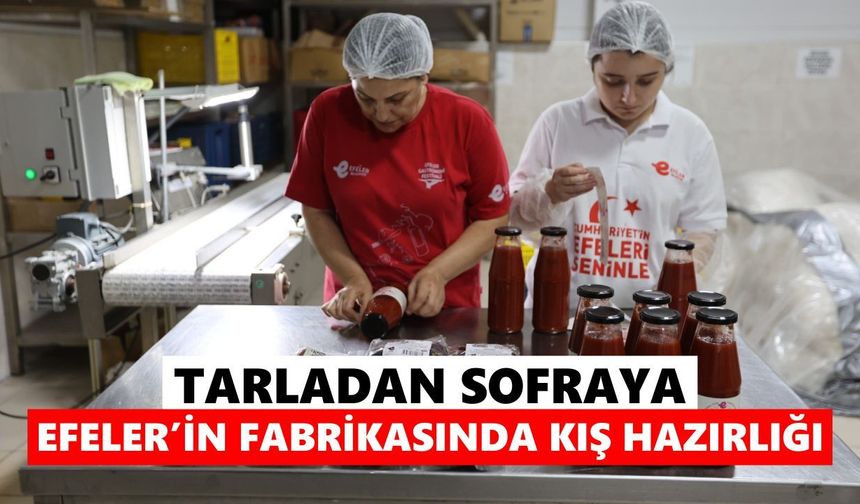 Domates, biber, patlıcan… Efeler’de kış hazırlığı tam gaz