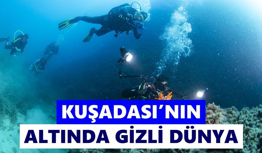 Kuşadası’nın altında bambaşka bir dünya! Dalgıçlar o mağaraya giriyor