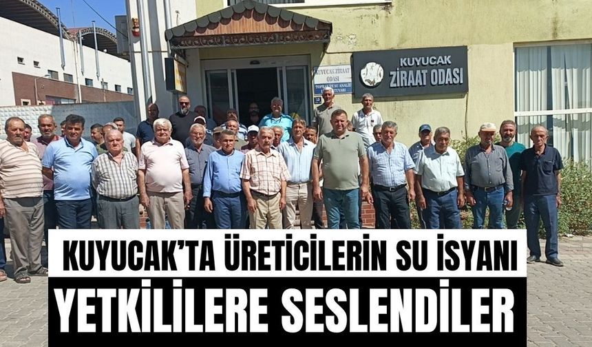 Kuyucak’ta üreticilerin su isyanı: Yetkililere seslendiler
